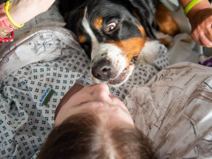 Studenti a učitelé gymnázia vybrali ve sbírce 35 tisíc pro Fakultní nemocnici