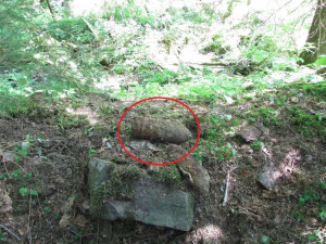 Muž s detektorem kovů objevil v lese u Hanušovic dělostřelecký granát