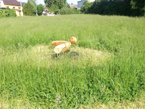 V Chomoutově si děti mohou vyzkoušet tajemný labyrint v trávě