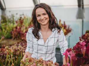 Na výstavišti se představí masožravé rostliny. Kořist polapí ve zlomku vteřiny