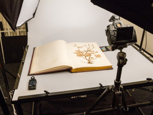 Vlastivědné muzeum Olomouc se pustilo do rozsáhlé digitalizace svých sbírek