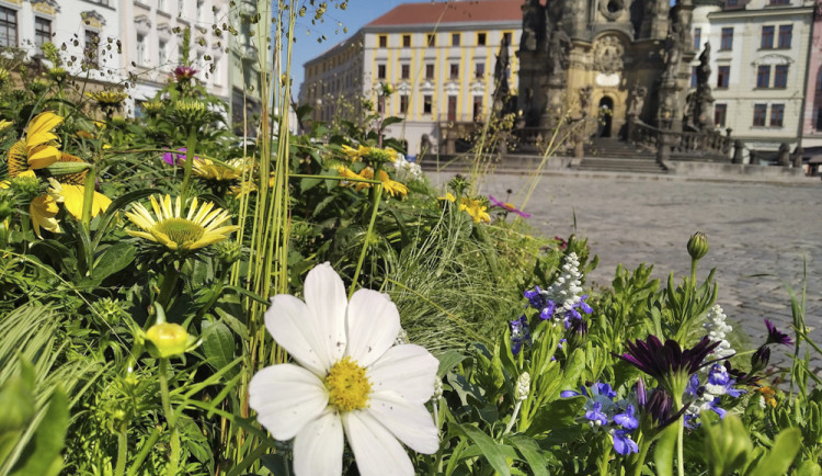 Centrum Olomouce oživila kvetoucí výzdoba. Novinkou bude odpočinkový koutek pod slunečními hodinami