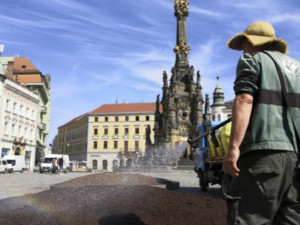 Květinová výzdoba na olomouckém Horním náměstí