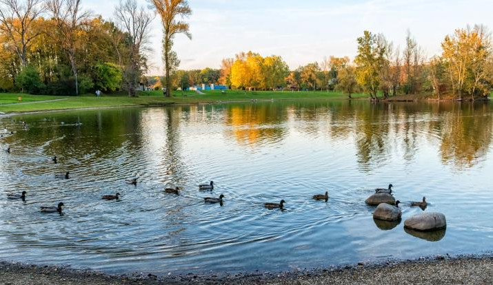 Voda v přerovské Laguně není vhodná ke koupání, potvrdily to rozbory