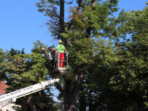 ! Nepojmenováno - 10:32:02 23.6.2021