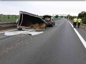 Na dálnici u Olomouce hasiči po nehodě honili dva koně. Provoz více než hodinu stál