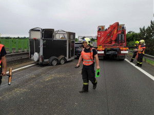 Na dálnici u Olomouce hasiči po nehodě honili dva koně. Provoz více než hodinu stál