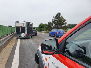 Na dálnici u Olomouce hasiči po nehodě honili dva koně. Provoz více než hodinu stál