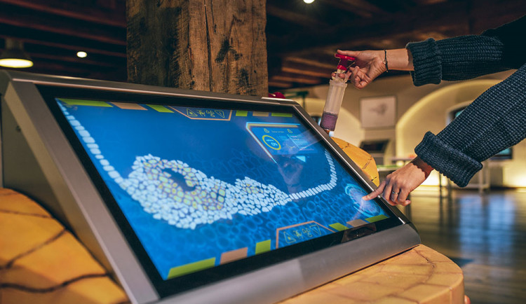 Interaktivní součást expozice Cesta lidským tělem v olomouckém muzeu Pevnost poznání