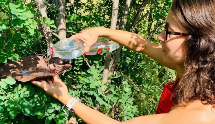 V parcích v Praze 3 vznikla pítka pro ptáky. Lidé si jej mohou vyrobit i doma