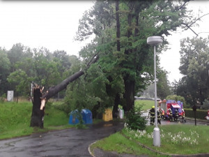 Kvůli bouřkám měli hasiči v Olomouckém kraji již desítky výjezdů. Strom spadl i na kolejiště