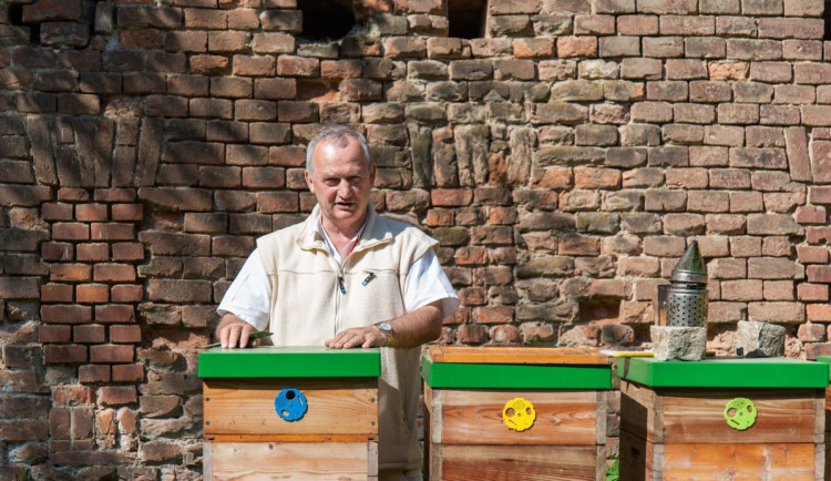Fakultní nemocnice Olomouc má vlastní med, včelí úly stojí přímo v jejím areálu