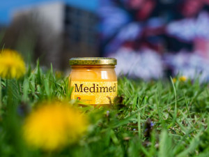 Fakultní nemocnice Olomouc má vlastní med, včelí úly stojí přímo v jejím areálu.