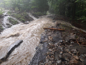 Nedělní blesková povodeň napáchala milionové škody v lesích na severu kraje