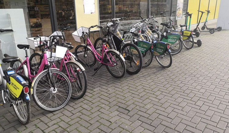 217439573_4575599229116970_233160447665136261_n