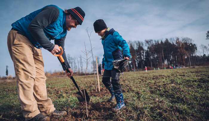 V prostějovských Čechůvkách si lidé budou moci zasadit svůj strom