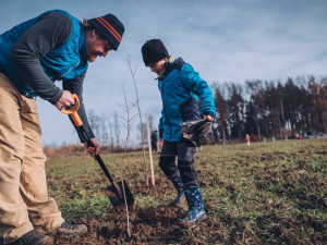 V prostějovských Čechůvkách si lidé budou moci zasadit svůj strom