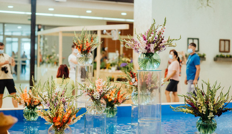 Visuté zahrady i léčivé rostliny. Letní Flora Olomouc chystá nabitý program