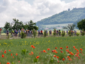Velocipedista Josef Zimovčák s pelotonem cyklistů projíždí každoročně republikou pro nadační fond Na kole dětem. V pozadí hrad Helfštýn