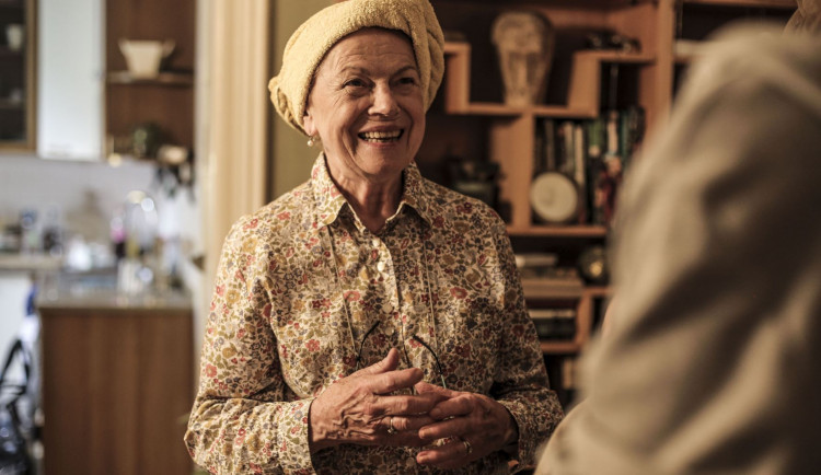 Režisér Krobot natáčí svůj film Šnajdr v olomouckém S-klubu nebo v zoo. Hraje v něm i Iva Janžurová