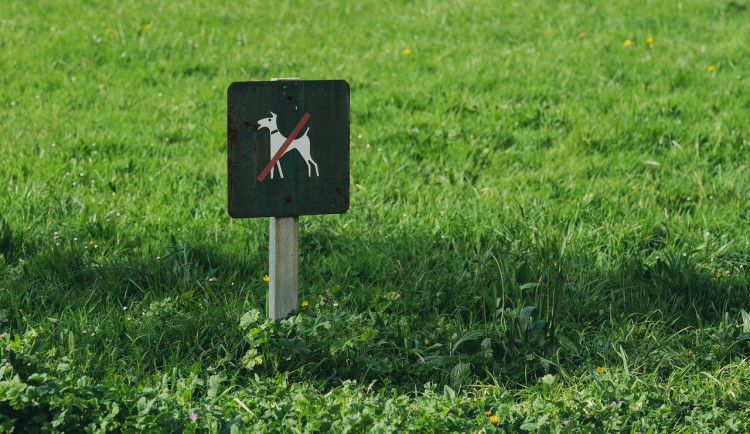 Desítka nerovná se hovínka. Praha 10 novou kampaní upozorňuje na problematiku psích výkalů