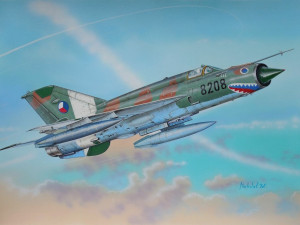 Muzeum Komenského výstavou Mezi mraky připomíná historii místního letectví