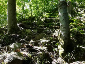 Žena si zranila nohu na vrcholu skály. Hasiči ji museli snést po strmé a úzké stezce