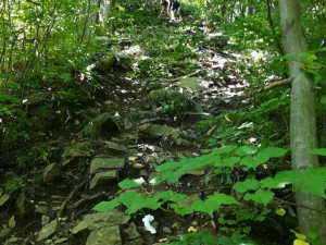 Žena si zranila nohu na vrcholu skály. Hasiči ji museli snést po strmé a úzké stezce