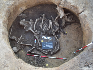 V oblasti v okolí Přerova probíhal čtyřletý rozsáhlý archeologický průzkum. Archeologové našli šperky, mince i pohřby z doby bronzové