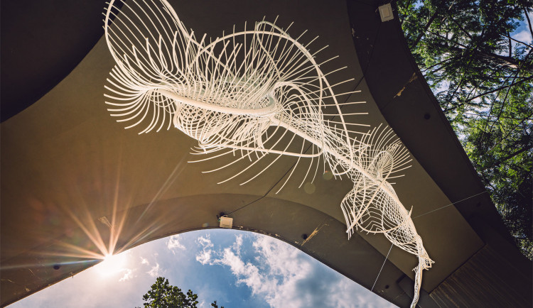 FOTOGALERIE: Smetanovy sady v Olomouci mají novou atrakci. Hada