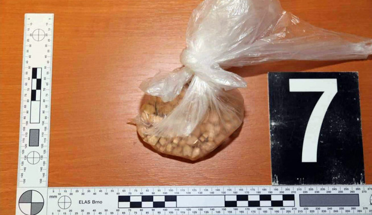 Tři druhy omamných a psychotropních látek vezl v zavazadle mladík ve vlaku mezi Hranicemi a Olomoucí