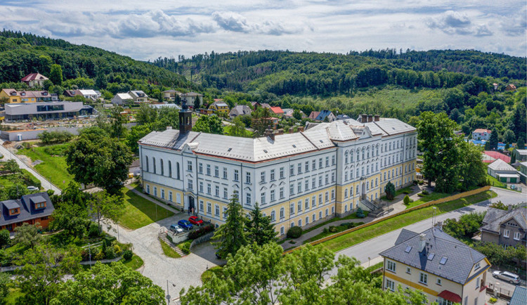 Vincentinum ve Šternberku sídlí v budově bývalého kláštera z počátku 20. století. Vincentinum patří mezi největší poskytovatele sociálních služeb v Olomouckém kraji