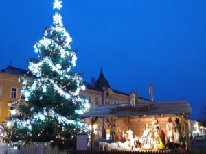 Až se zima zeptá... Město Prostějov již začalo hledat letošní vánoční strom