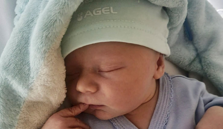 239183475_10158015130086459_244486686974423254_n