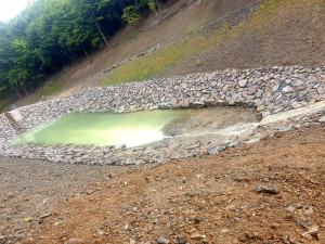 Ze studánky u Stražiska na Prostějovsku teče bílá voda. Může za to vápenec
