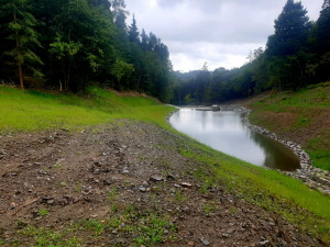 Z pramene u Stražiska na Prostějovsku teče bílé mléko. Může za to vápenec