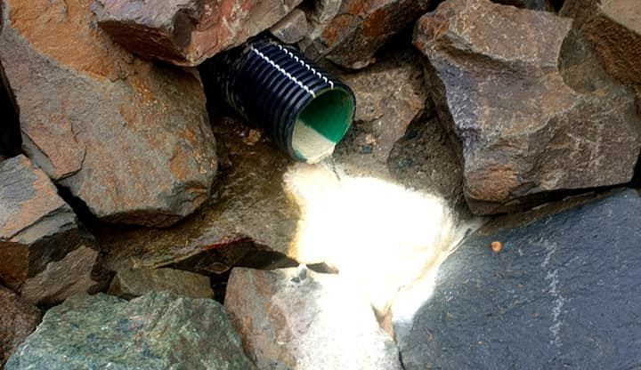 241390217_3071348106466866_810751004658484866_n