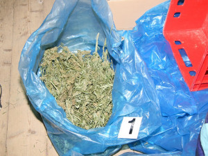 Přerovští kriminalisté zatkli dealera drog. Našli u něj pět kilo marihuany