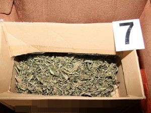 Přerovští kriminalisté zatkli dealera drog. Našli u něj pět kilomarihuany