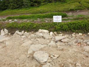 Ekologové požadují zastavit dotace pro rozhlednu na Králickém Sněžníku. Ničí přírodu