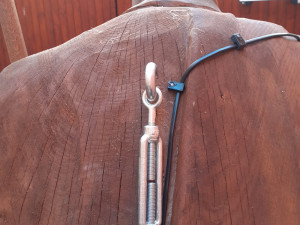 Do výklenku olomoucké Vily Primavesi se po 70 letech vrátila socha ponocného