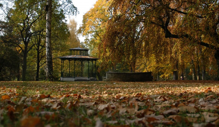 Jak se promění městský park v České Lípě? Město si nechá zpracovat studii