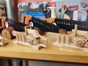 Profesionální a dobrovolní hasiči otestovali své dovednosti při práci s motorovou pilou