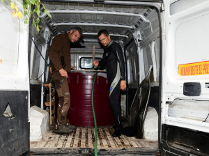 Olomoucká zoo poskytla azyl samici žraloka, jejíž akvárium zničilo tornádo