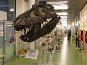 I v letošním ročníku Noci vědců byla jedním z center prezentací a pokusů Přírodovědecká fakulta Univerzity Palackého či popularizační muzeum vědy Pevnost poznání