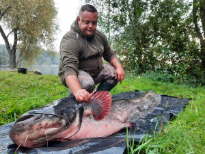 Neskutečný zážitek přineslo rybaření na Poděbradech u Olomouce Michalu Staňkovi. Rekordní sumec měřil 251 cm