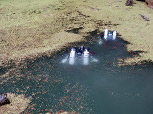 Speleologové se chystají opět propátrat Hranickou propasti, za pomoci