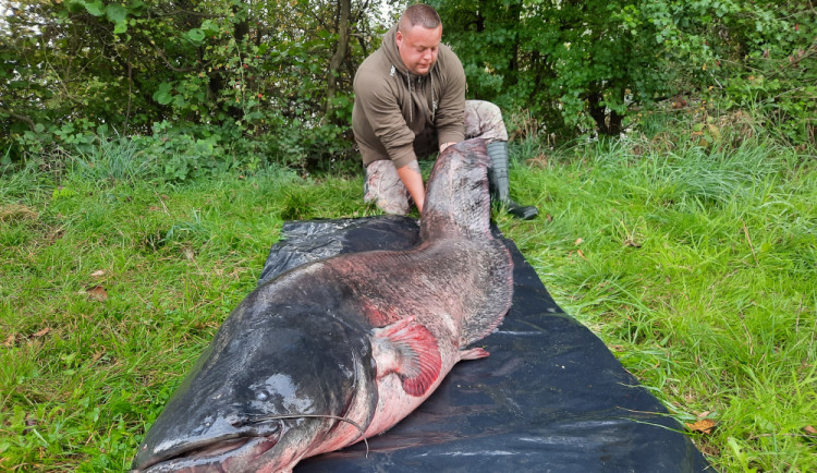 Neskutečný zážitek přineslo rybaření na Poděbradech u Olomouce Michalu Staňkovi. Rekordní sumec měřil 251 cm