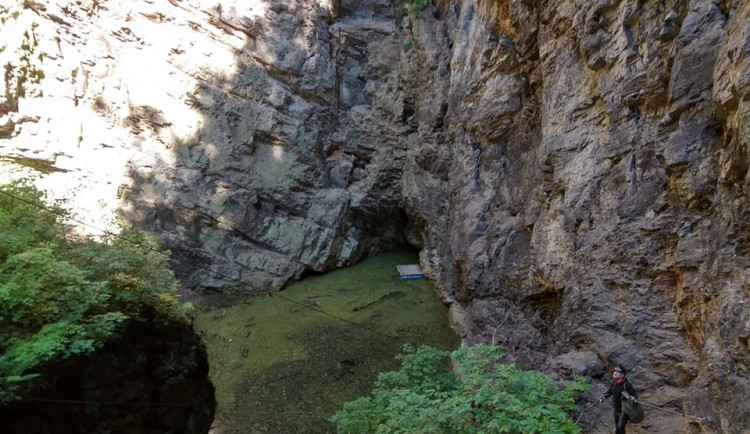 197650327_4253985151319231_7485360385096868826_n