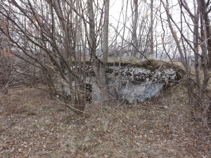 Ministerstvo obrany nabízí k prodeji tři bunkry u Adolfovic v Jeseníkách. Za pár tisíc